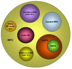 Figure 1. Nested networks